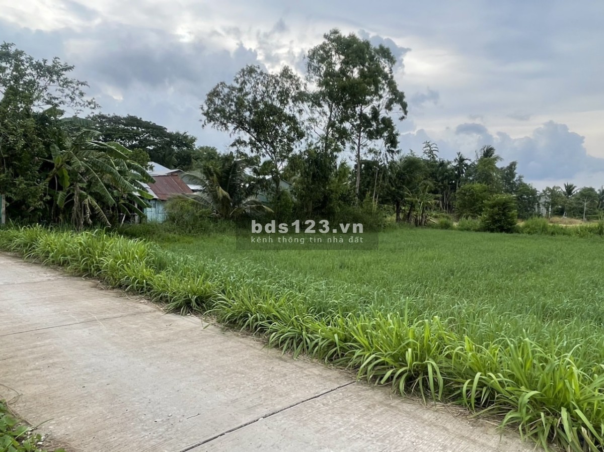 Bán đất nền cách cụm khu công nghiệp Tài Văn Trần Đề Sóc Trăng
