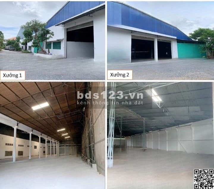 Cho thuê 3000m2 kho xưởng Đoàn Nguyễn Tuân ,Hưng Long Bình Chánh