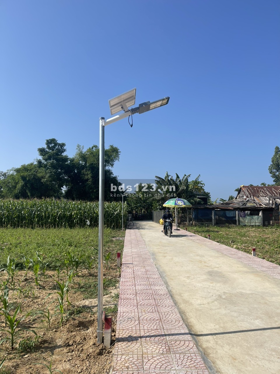 Đất nền Đại Quang - Đại Lộc giá rẻ - Sổ sẵn từng lô - Phù hợp với mọi nhu cầu. Giá chỉ 3xx triệu/nền