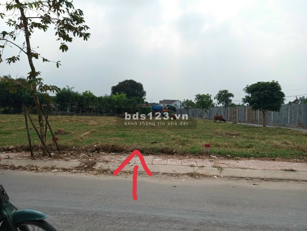VIB phát mãi lô đất cho khách do trễ hạn thanh toán tiền thanh lý nhanh Tân Phú Trung Củ Chi