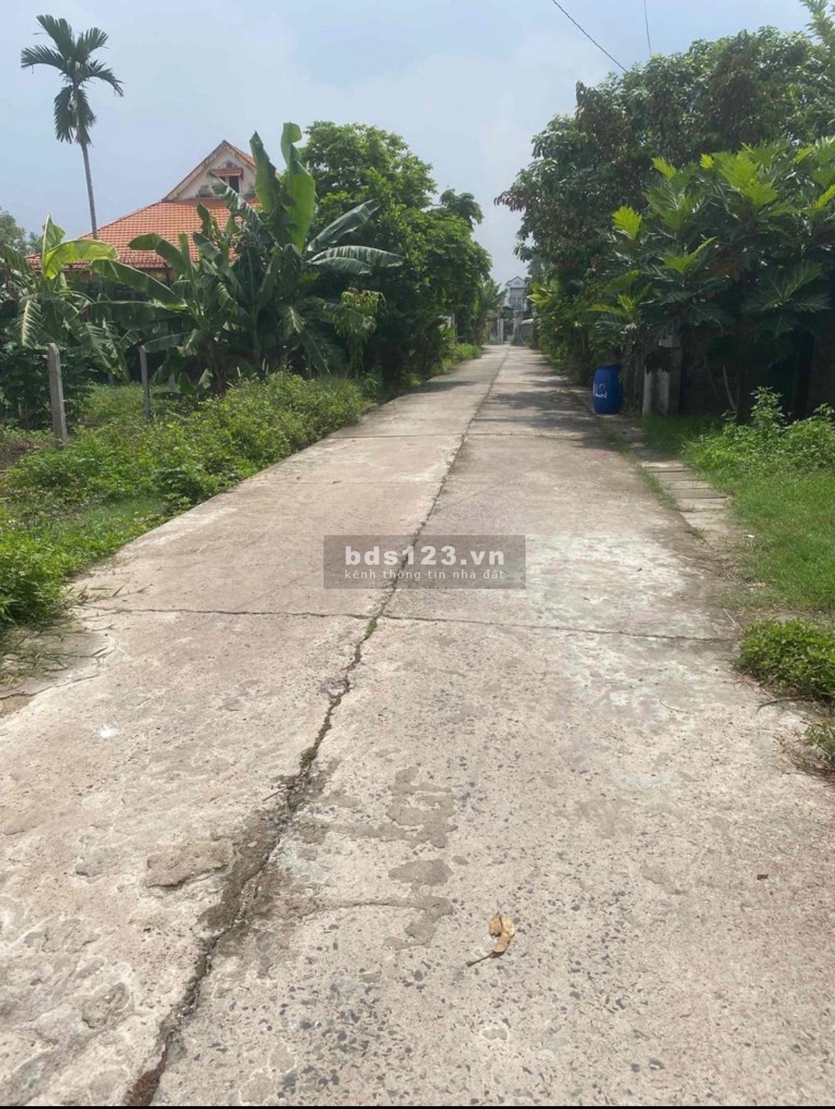 Ra gấp lô đất mặt tiền đường Nguyễn Thị Se, Tân Thông Hôi, Củ Chi, SHR,125.1m2, 375tr.