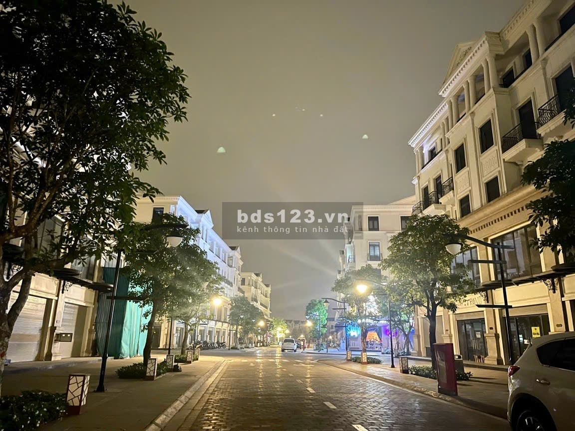 Cần bán căn shop 2 mặt tiền khu phố nhật đẹp nhất Vinhomes Ocean Park Gia Lâm (8,7 tỉ)