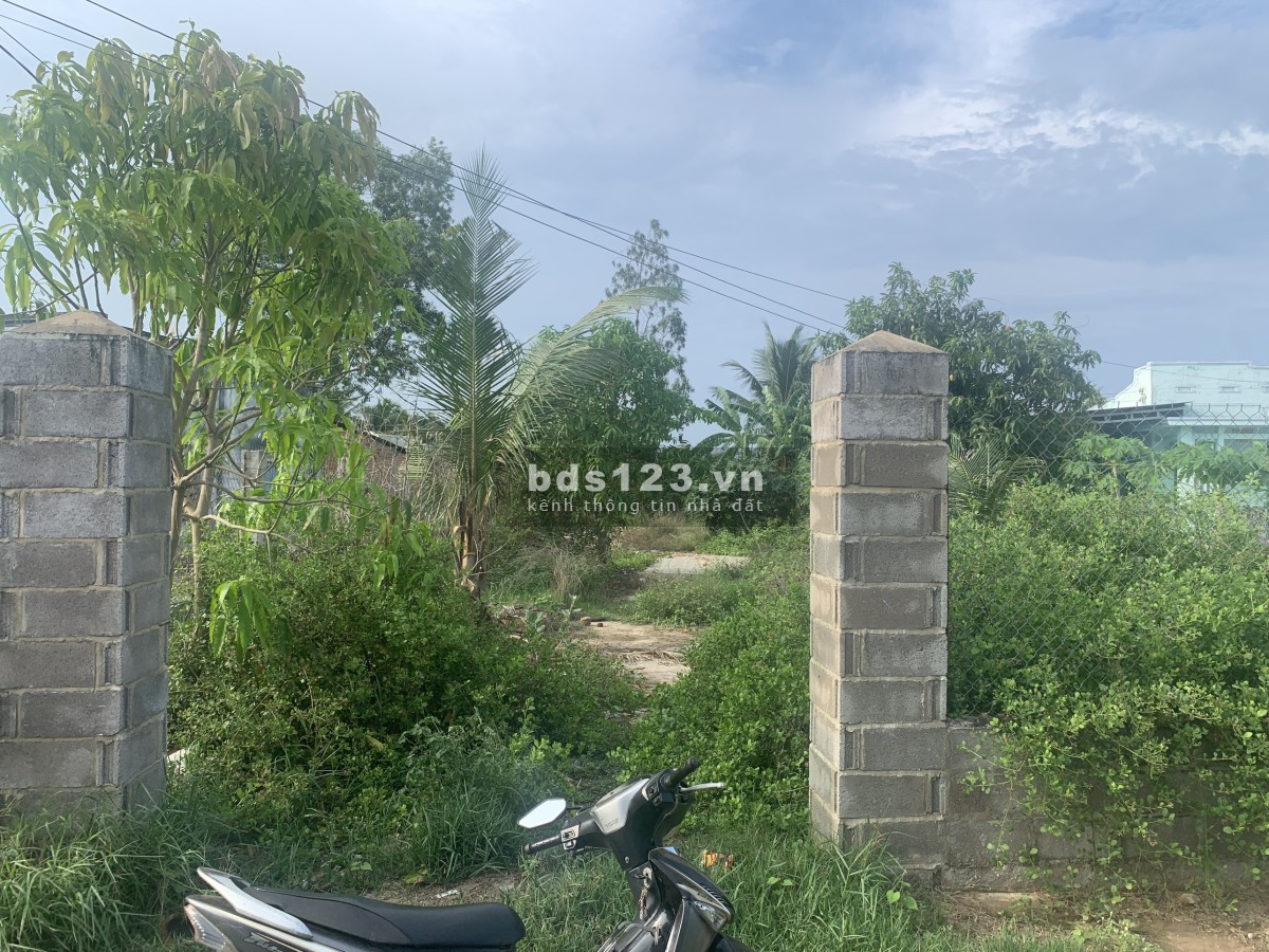 Bán đất 443m2 có 300m2 thổ cư - Thôn 3 Hàm Liêm cách nhựa 50m đường ô tô