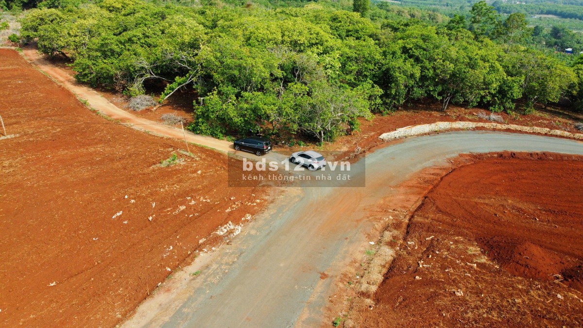 Chính chủ bán đất giá rẻ chỉ 209 triệu , 100 m2 thổ cư