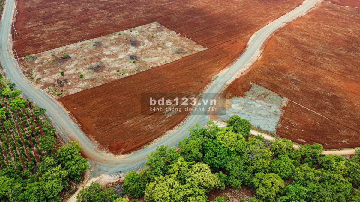 Chính chủ bán đất giá rẻ chỉ 209 triệu , 100 m2 thổ cư