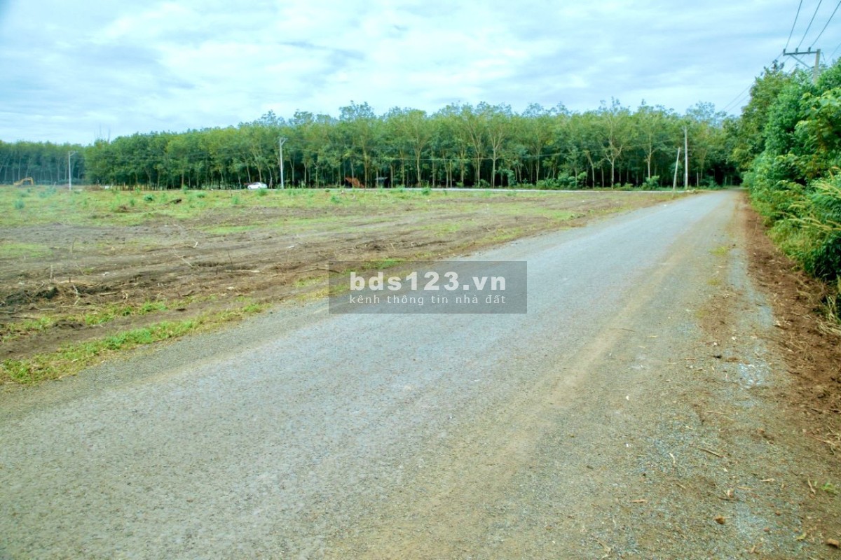 Vở nợ nên tôi cần bán gấp lô đất 1125m2, SHR, công chứng ngay.