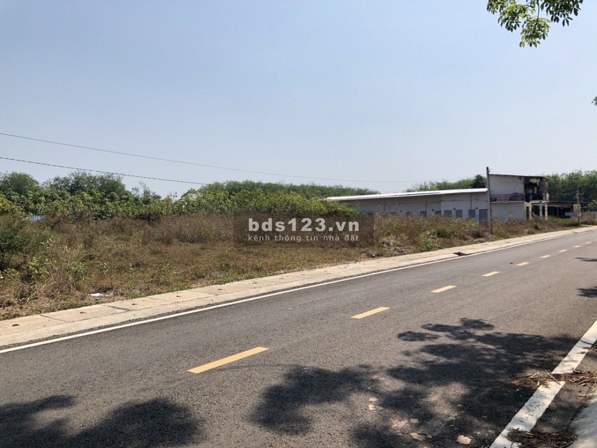 Vở nợ nên tôi cần bán gấp lô đất 1125m2, SHR, công chứng ngay.