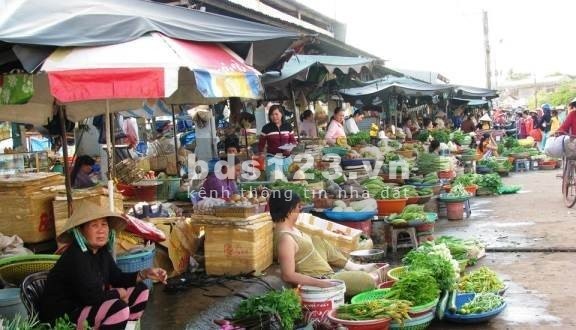 Vở nợ nên tôi cần bán gấp lô đất 1125m2, SHR, công chứng ngay.