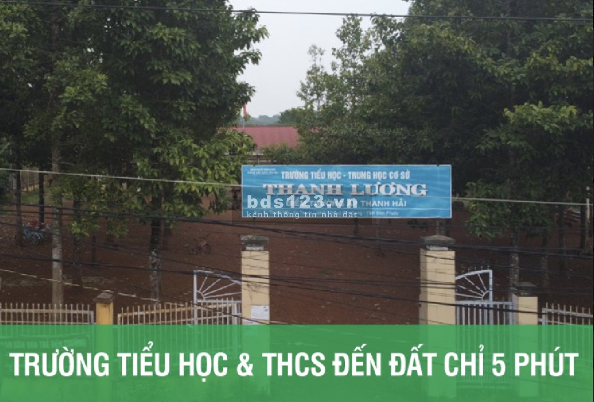 Vỡ hụi nên tôi cần bán gấp lại lô đất ngay Thanh Lương bl, giá 260tr, sổ hồng riêng