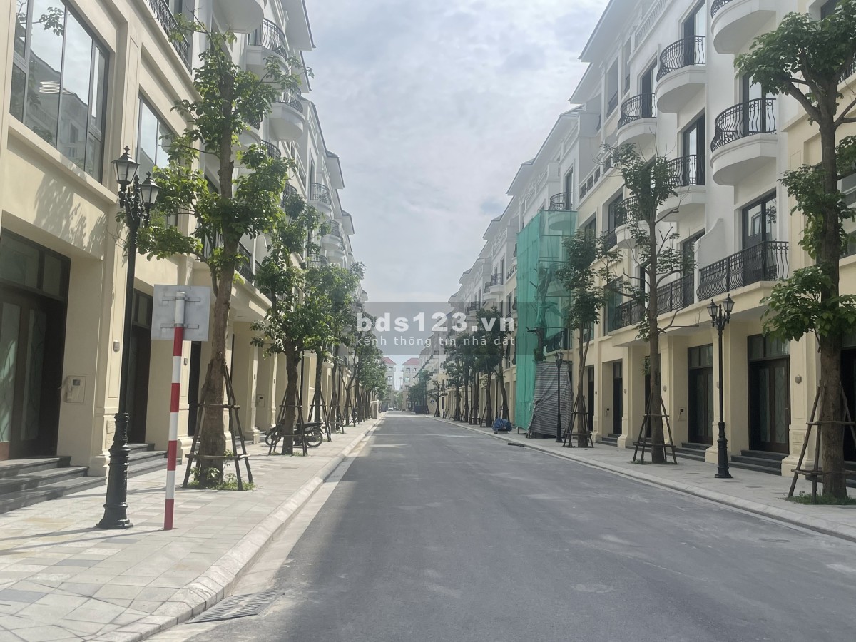 Bán nhà liền kề San Hô 65m2 sát hồ tạo sóng chủ nhà bán nhanh 8 tỷ tại vinhomes ocean park 2