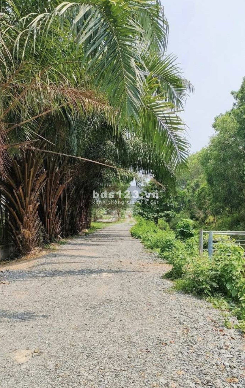 Bán hơn 500m đất vườn view bờ kênh đường ô tô Trung Lập Hạ, Củ Chi