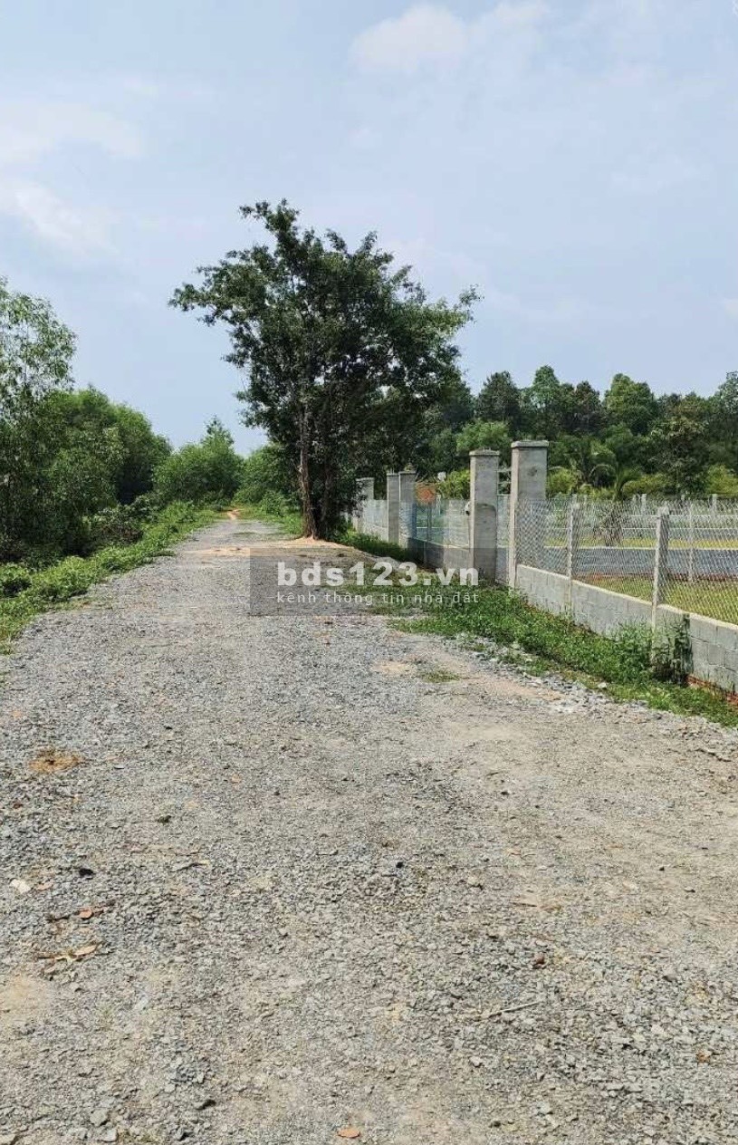 Bán hơn 500m đất vườn view bờ kênh đường ô tô Trung Lập Hạ, Củ Chi