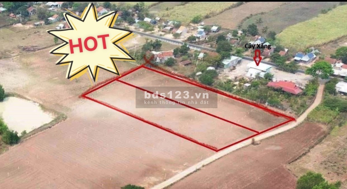 Bán đất ngộp giá rẻ Sơn Phước - Sơn Hòa