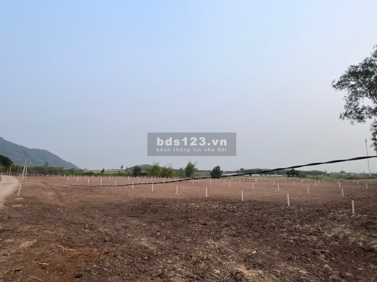 Bán đất ngộp giá rẻ Sơn Phước - Sơn Hòa
