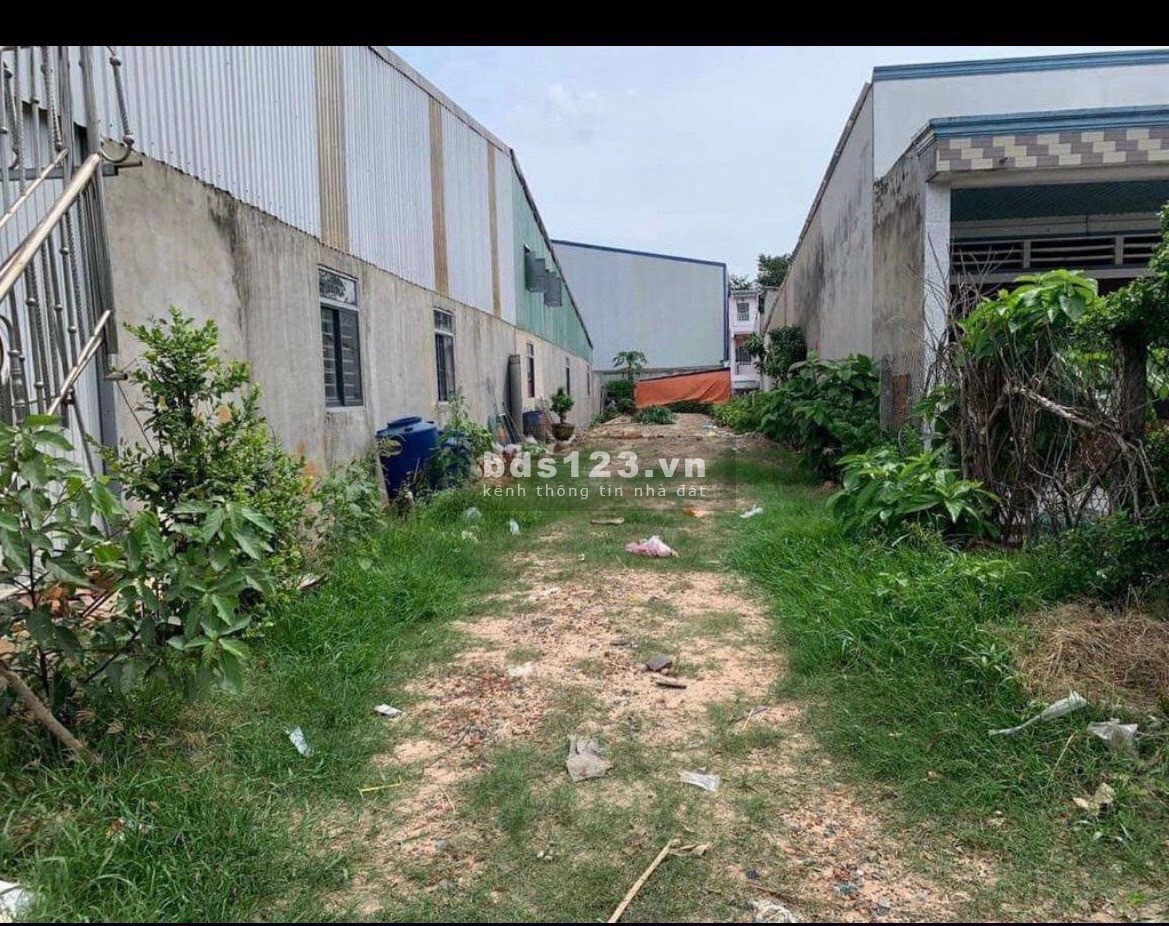Đất MT đường Giồng Cát, TPT, Củ Chi, SHR, 157,4m2, 425tr
