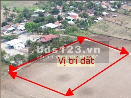 Bán đất giá ngộp dành cho các nhà đầu tư