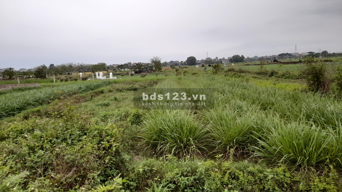 Cần bán Đất tại Danh Thắng Hiệp Hòa - Bắc Giang