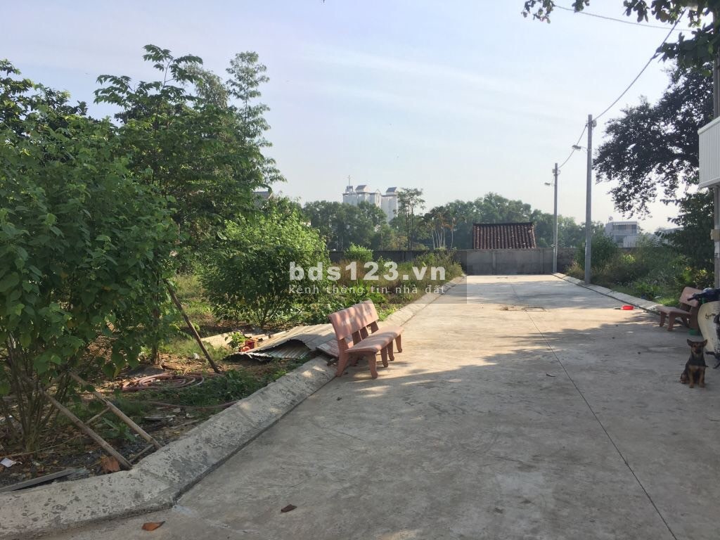 Chủ cần bán lô đất sổ riêng 80m2 đường Nguyễn Văn Linh, H. Bình Chánh, gần UBND. LH 0909 856 907