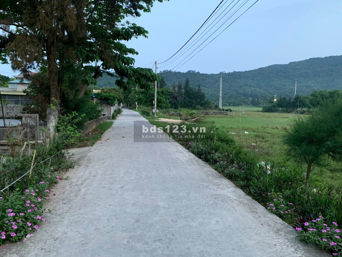 Bán đất nền Cô Tô, gần biển, gần cảng đón du khách, full thổ cư, tiềm năng tăng giá cao
