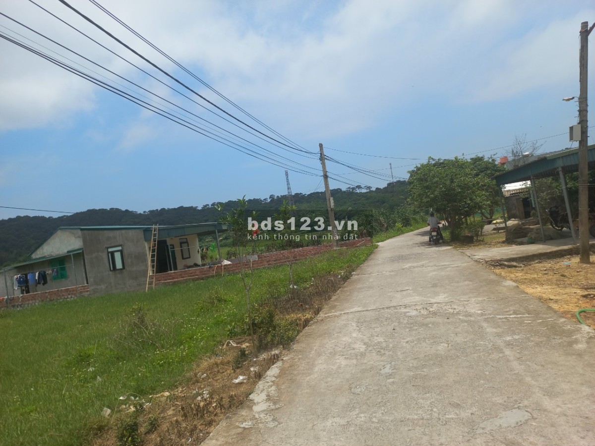 Bán đất nền Cô Tô, gần biển, gần cảng đón du khách, full thổ cư, tiềm năng tăng giá cao