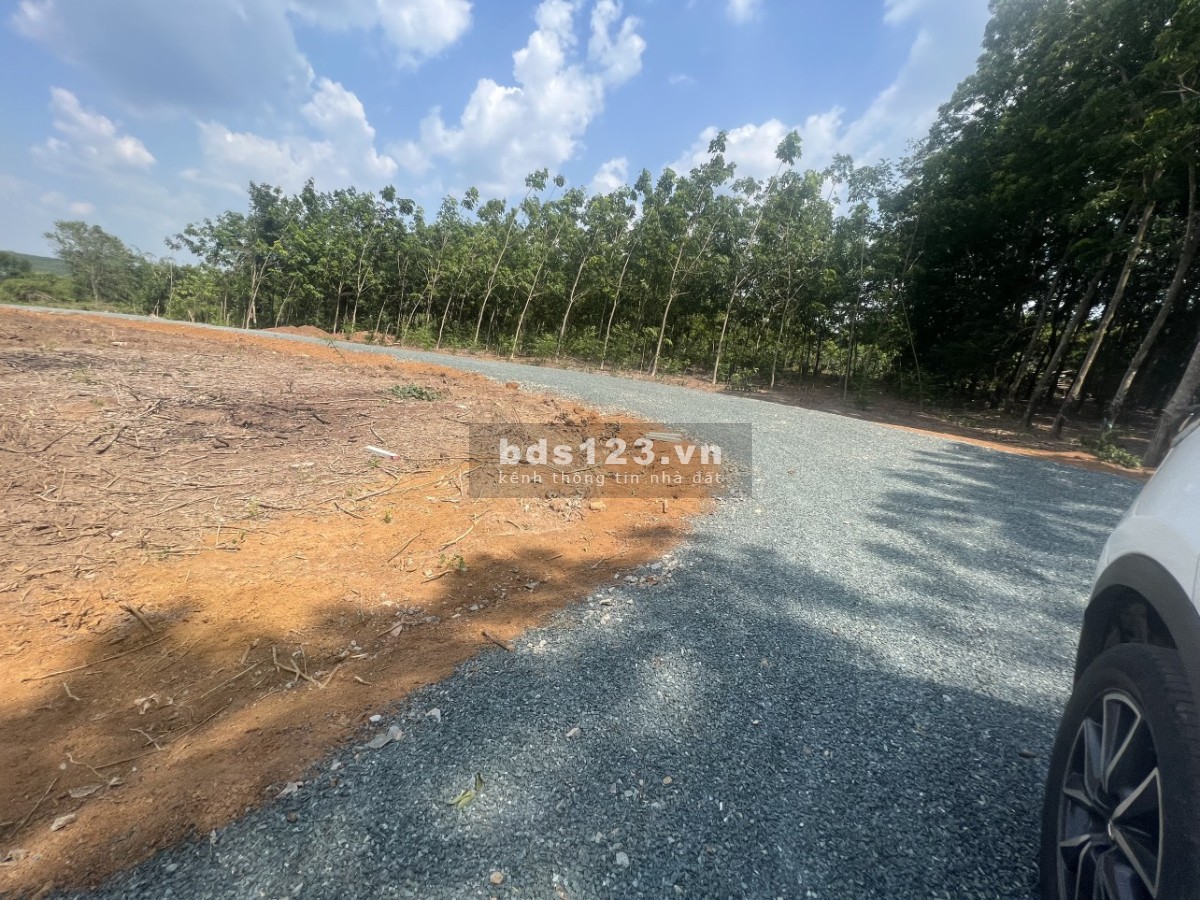 Chỉ 3xx triệu có ngay 1 lô đất đẹp 1000m2