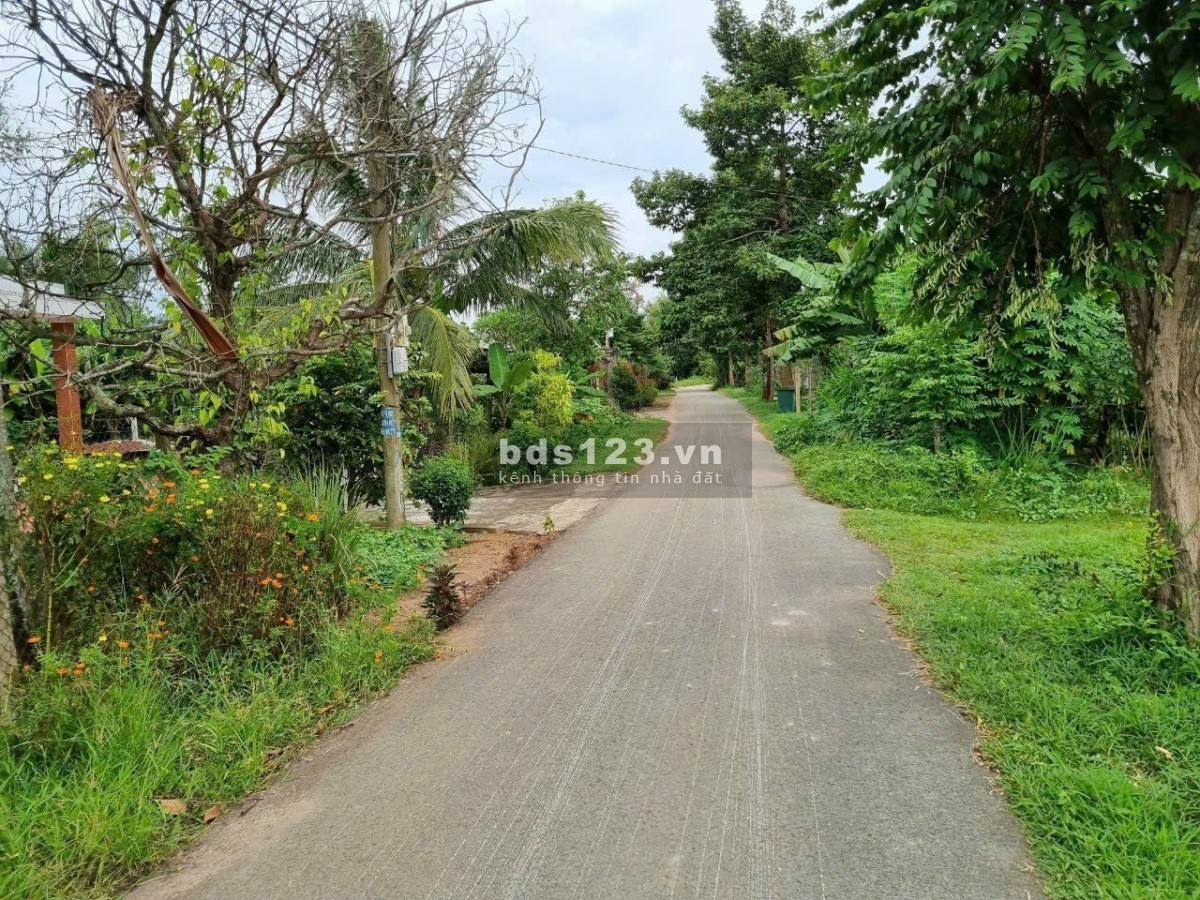 Bán đất 243m2 (8x30) thổ cư giá 870tr, SHR, Nguyễn Văn Khạ,Tân AN Hội, Củ CHi