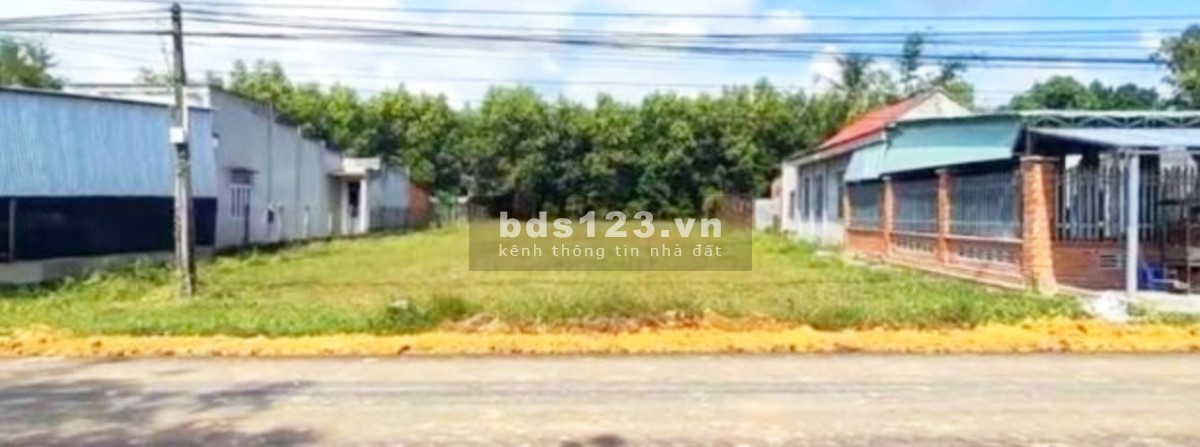 Tôi cô Hoa chủ đất cần bán gấp 872M2 đất. Gía 550 triệu, ngay chợ đêm.