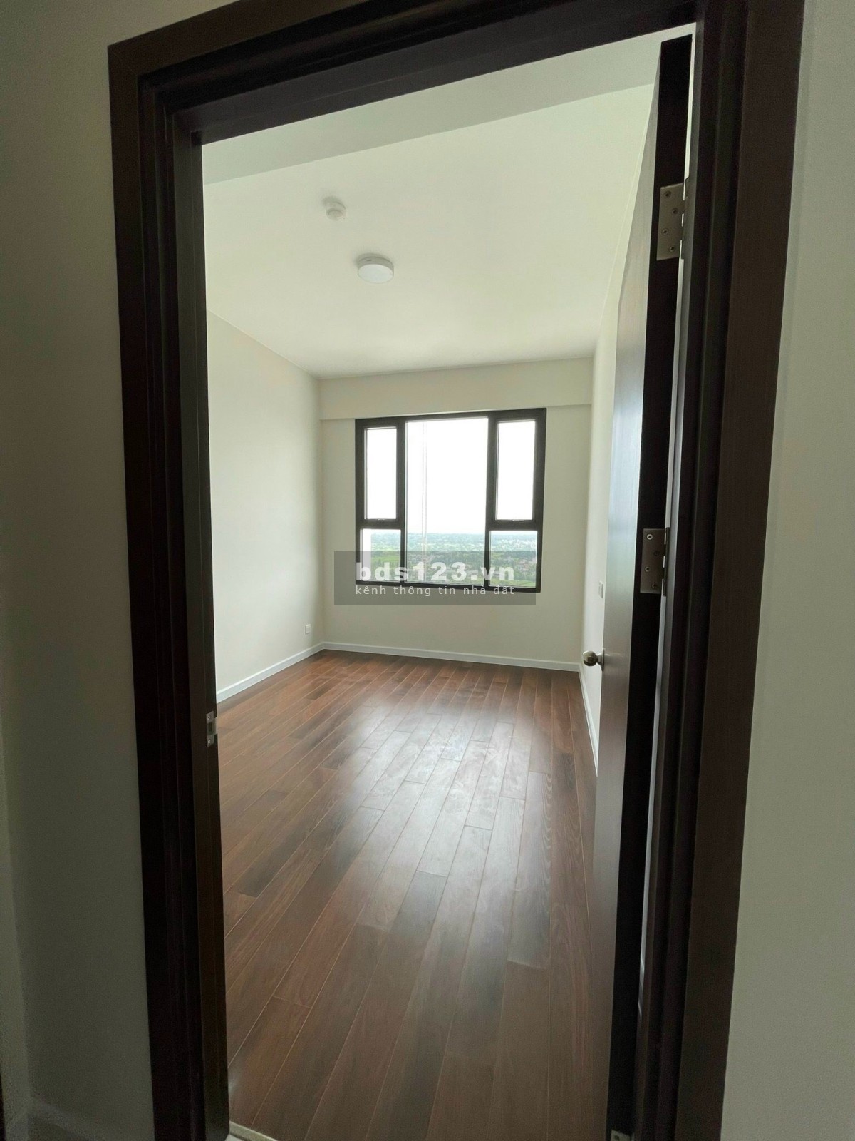 Cho thuê căn hộ mới tinh nội thất cơ bản giá rẻ