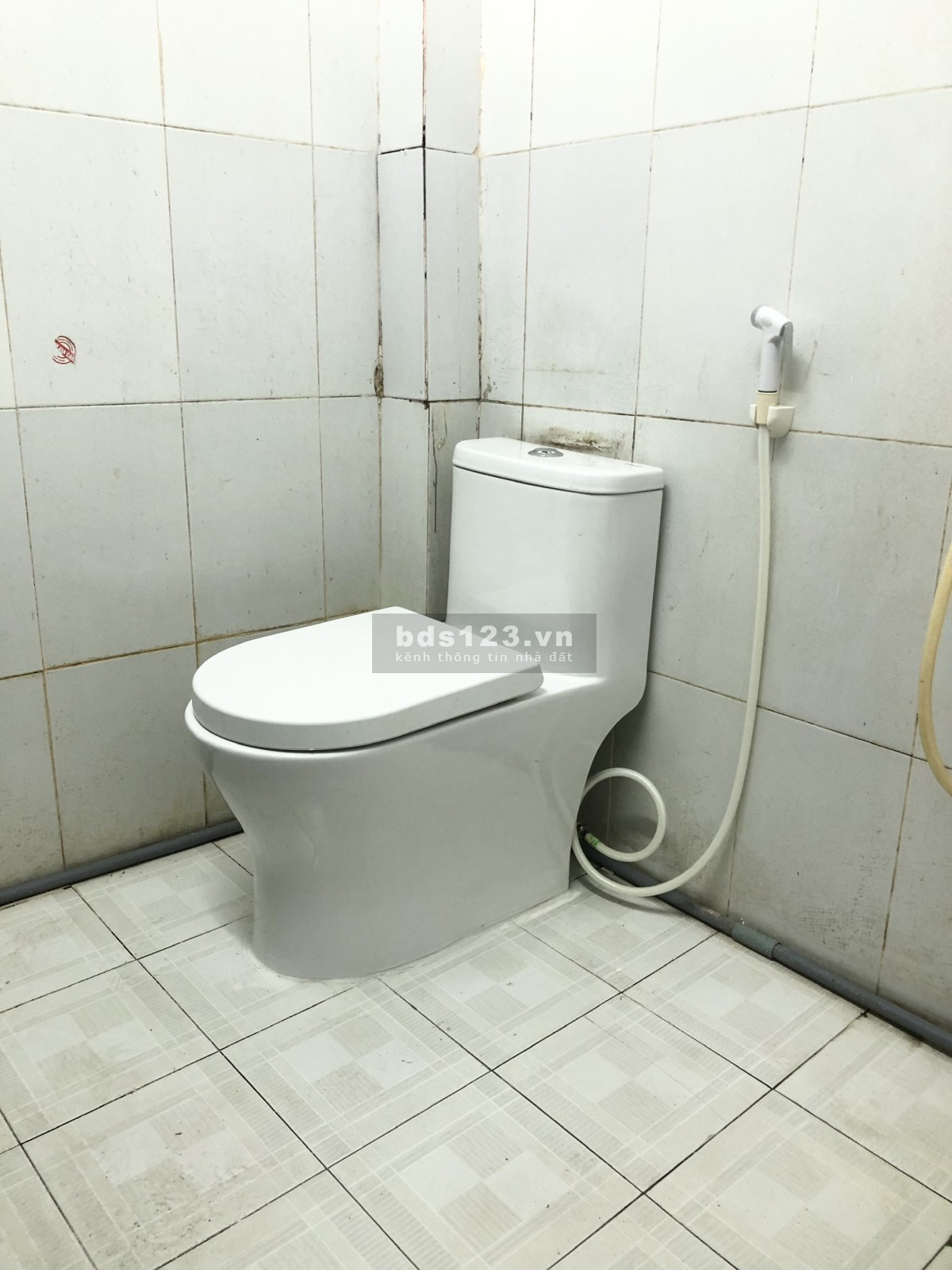 Cho thuê nhà NGUYÊN CĂN 1trệt,1lầu,1WC mới sơn sửa đẹp; đường 18,P8,QGV. DTSD 50m2. Giá 6,5 tr/tháng