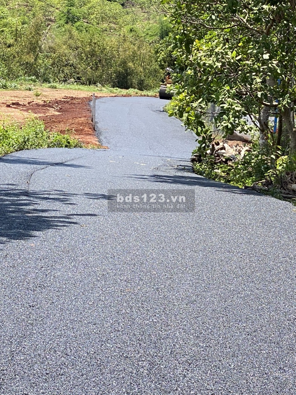 BÁN ĐẤT THỊ TRẤN THANH BÌNH - BÌNH PHƯỚC!