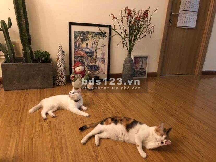 Cần bán gấp căn hộ Flora Kikyo, 55m2 1+1PN - 1WC, nội thất như hình đã có sổ hồng, giá chỉ 2 tỷ 2 TL