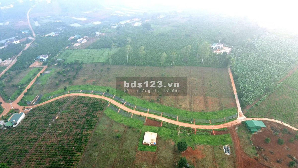 Bán đất tặng kèm vườn sầu riêng và vườn cây ăn trái tại Lâm Hà, Lâm Đồng