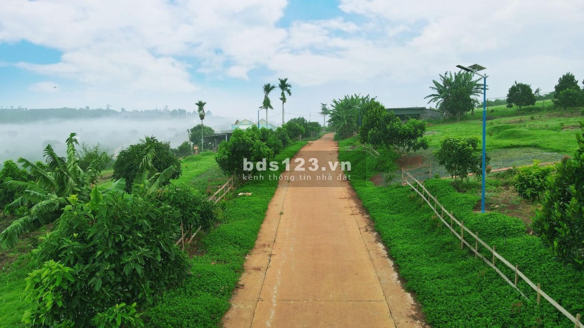 Bán đất tặng kèm vườn sầu riêng và vườn cây ăn trái tại Lâm Hà, Lâm Đồng