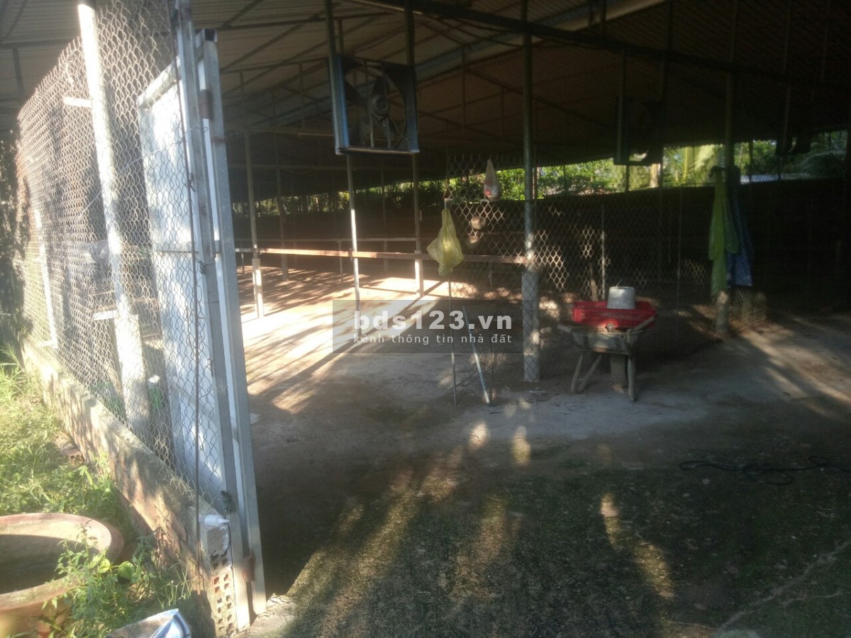 Chính chủ cần bán lô đất đẹp tại Sơn Đông - Bến Tre. Gần 3 công 2829.9m2, Giá 1.9 triệu/m2