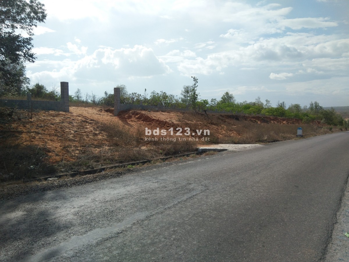 Chính chủ vỡ nợ muốn bán đất ngay đường 715 vào sân bay Phan Thiết