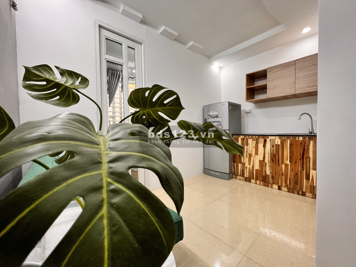Cho thuê căn hộ dịch vụ cao cấp đường số 25, Tân Quy, quận 7