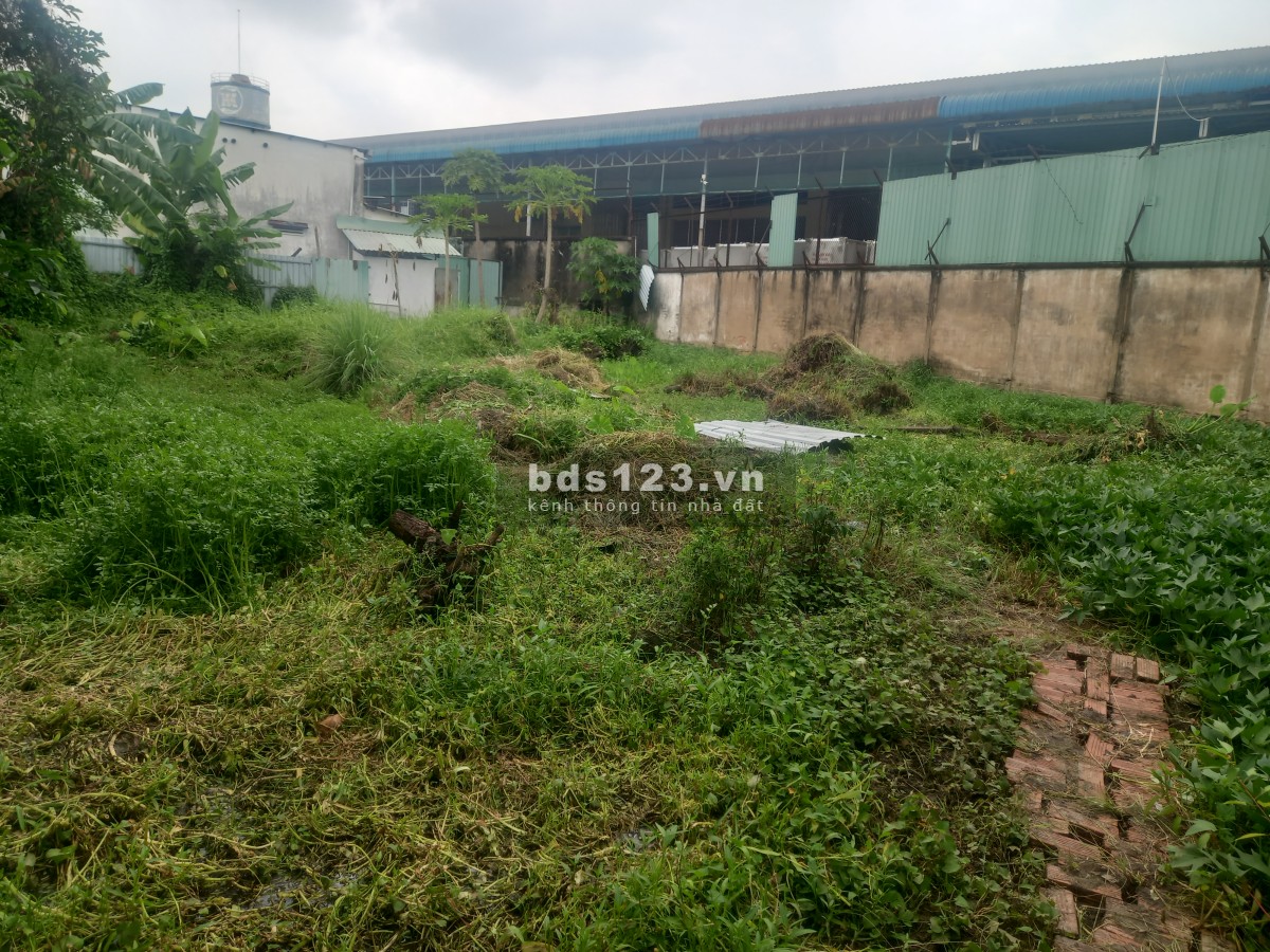 Chính chủ cần bán lô đất 703m² thổ cư, đường số 4, Trường thọ, Thủ Đức, giá 21 tỷ
