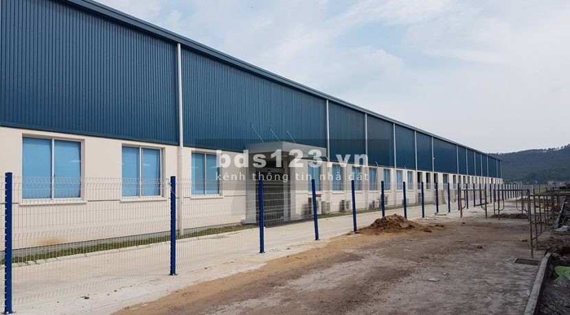 Cho thuê kho xưởng tại Thuận An 500m2 , 1.000M2 2.000M2 3.000M2 4.000M2 sản xuất mọi ngành nghề