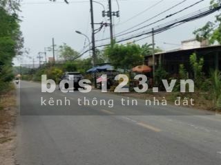 Cho thuê 4.200m2 đất tại An Phú Củ Chi giá 4,5tr
