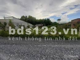 Cho thuê 4.200m2 đất tại An Phú Củ Chi giá 4,5tr