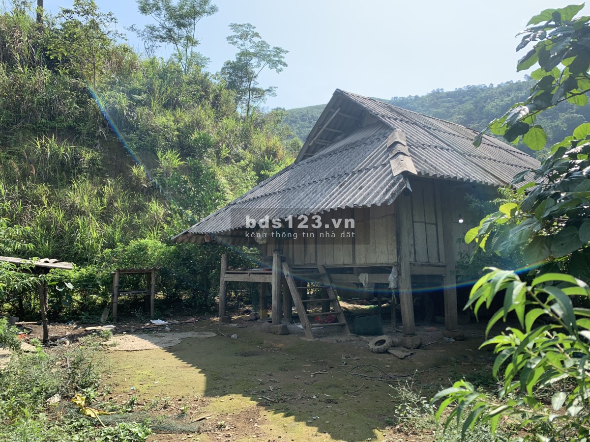 Bán đất khu du lịch đang phát triển cực kỳ tiềm năng tại cao phong hòa bình giá chỉ hơn 1tr/m2