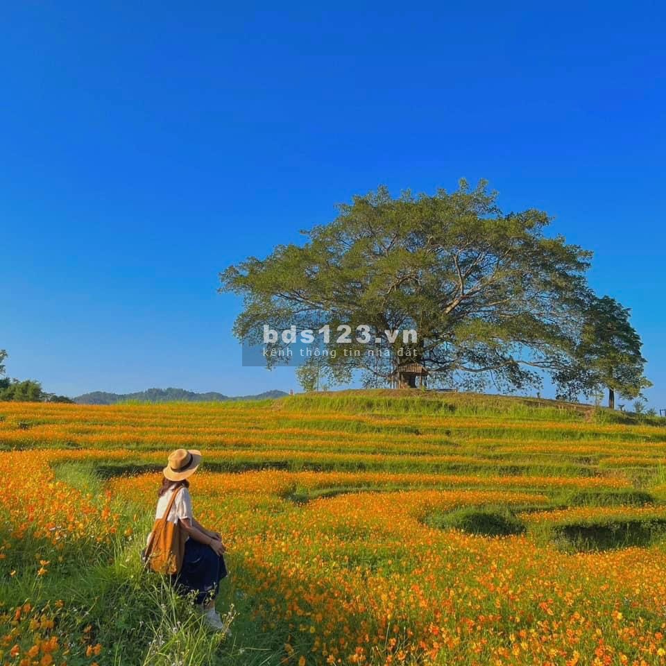 Bán đất khu du lịch đang phát triển cực kỳ tiềm năng tại cao phong hòa bình giá chỉ hơn 1tr/m2