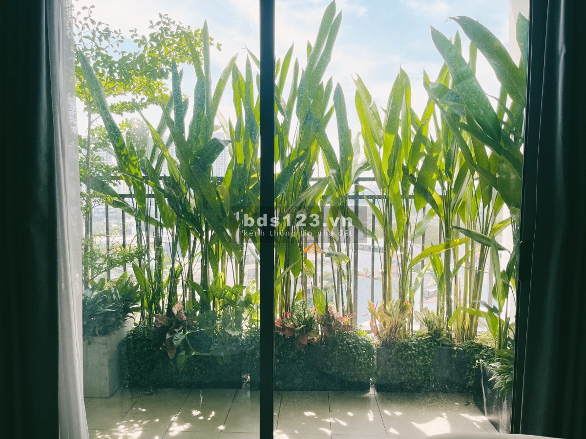 Bán căn hộ siêu xinh 10 điểm 0 nhưng, cần bán tại The Sun Avenue đây cô bác ơi