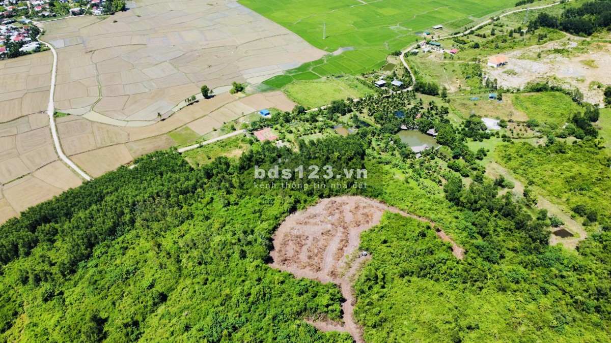 Đất sổ đỏ 10910m2 đỉnh đồi núi tại Diên Hoà, Diên Khánh, Nha Trang, Khánh Hoà