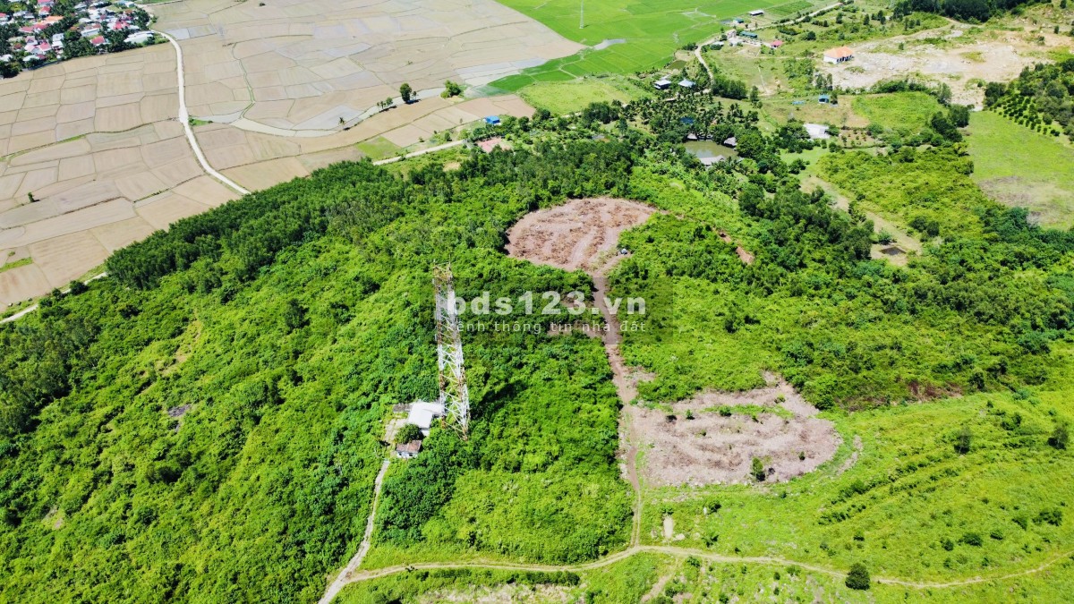 Đất sổ đỏ 10910m2 đỉnh đồi núi tại Diên Hoà, Diên Khánh, Nha Trang, Khánh Hoà