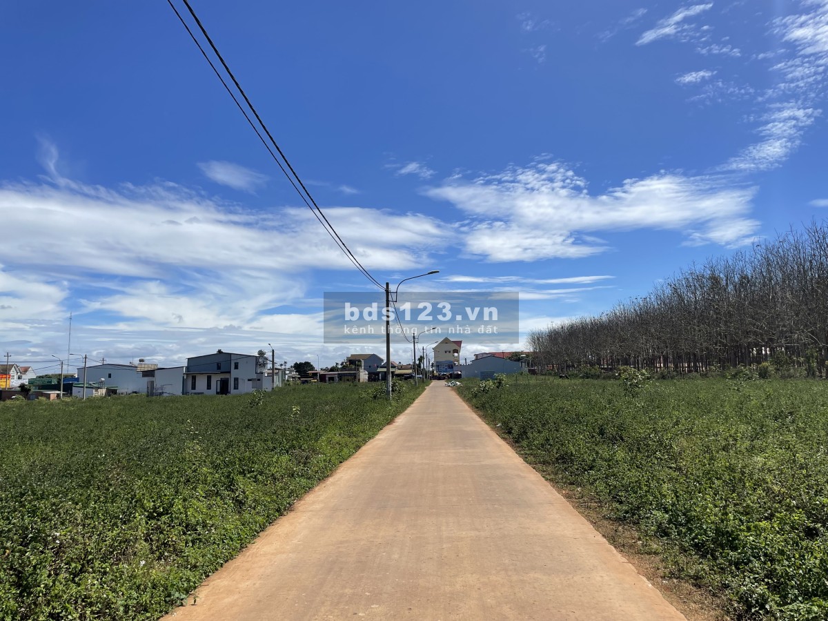Bán đất đấu giá Phú Lộc Krong Năng giá rẻ chỉ 460tr