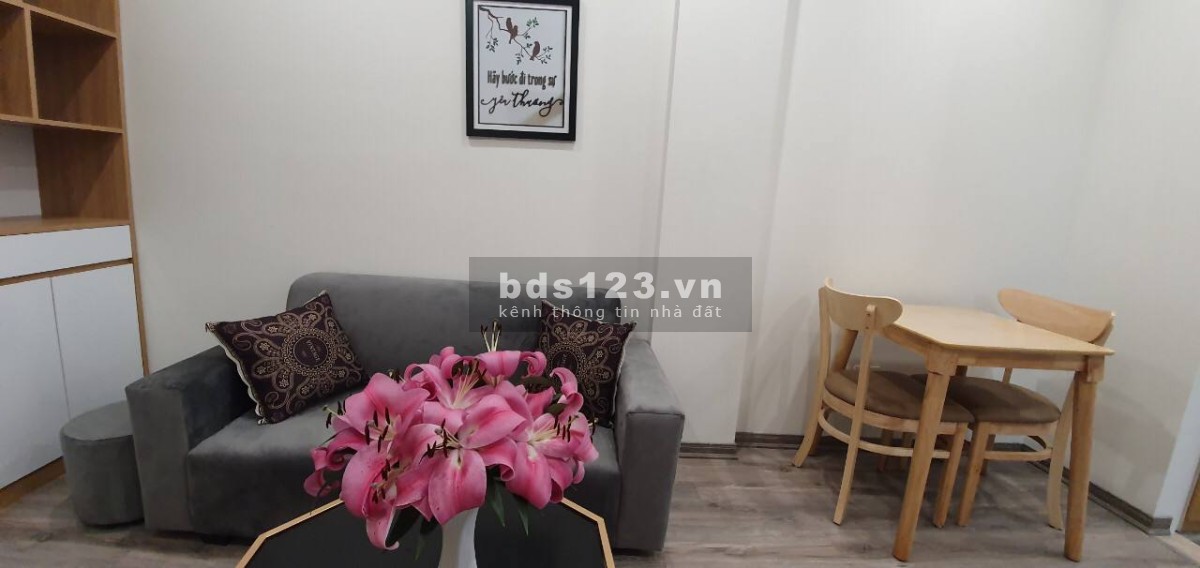 Cho thuê chung cư mini gần đường Thanh Niên, Hồ Tây