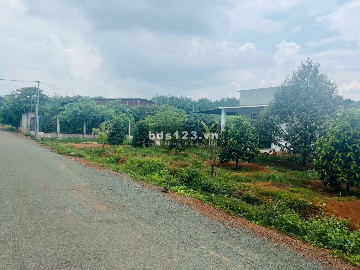 Đất thổ cư sổ sẳn đường nhựa qh 42m gần kcn sân bay chung dùng giá đầu tư 350tr