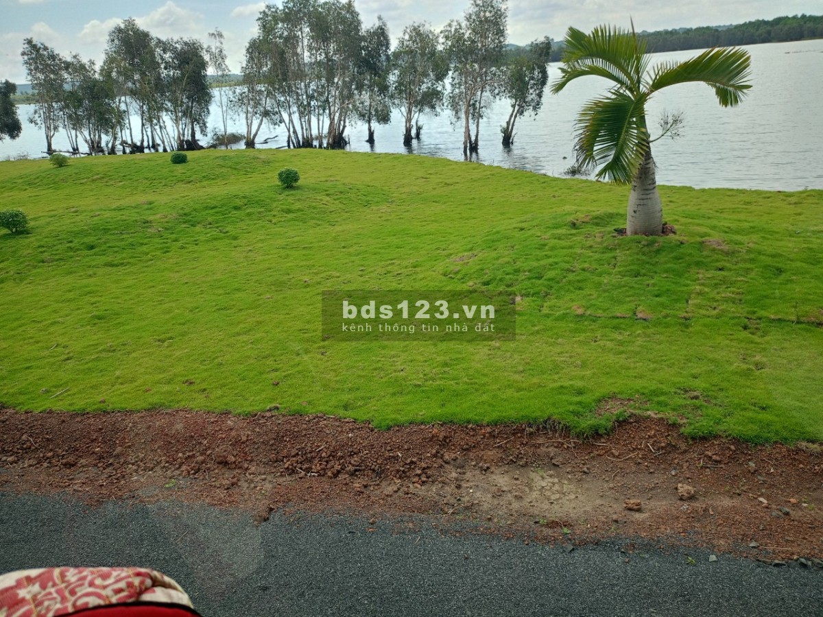 Đất view hồ, nghỉ dưởng, siêu đẹp, siêu rẻ chỉ có 290tr