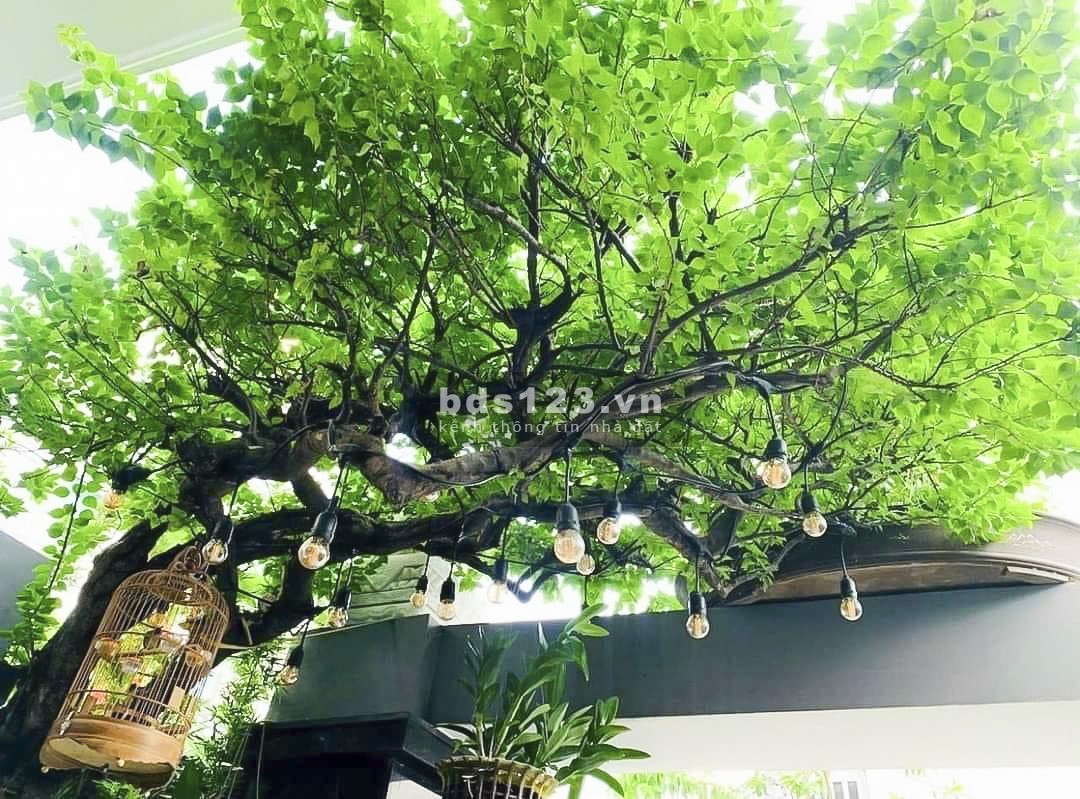 Cho thuê biệt thự Mini 2 mặt tiền Đình Phong Phú, Tăng Nhơn Phú B